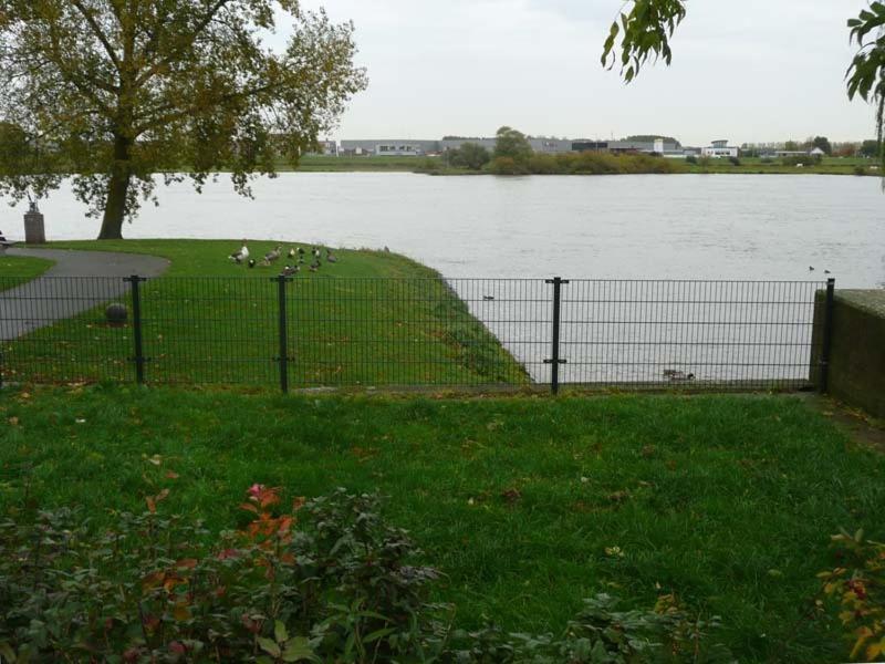 De Zilveren Karper IJsselmuiden Luaran gambar
